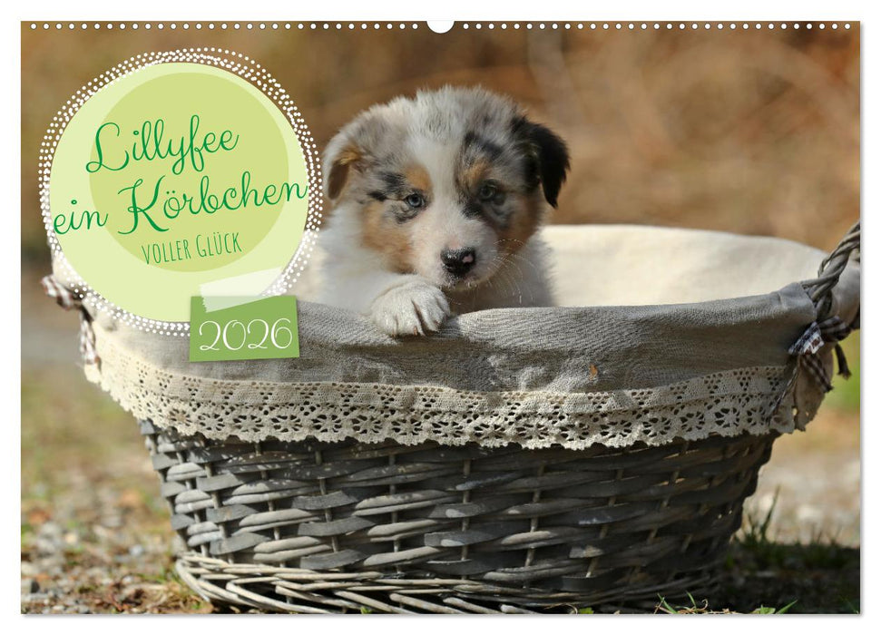 Lillyfee und ein Körbchen voller Glück (CALVENDO Wandkalender 2026)
