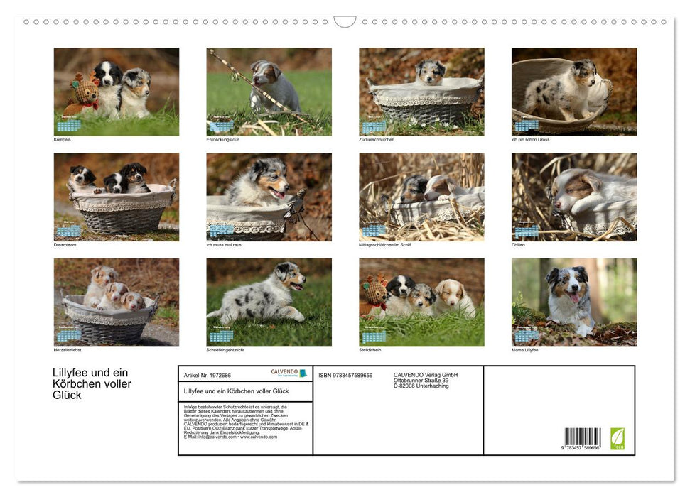 Lillyfee und ein Körbchen voller Glück (CALVENDO Wandkalender 2026)