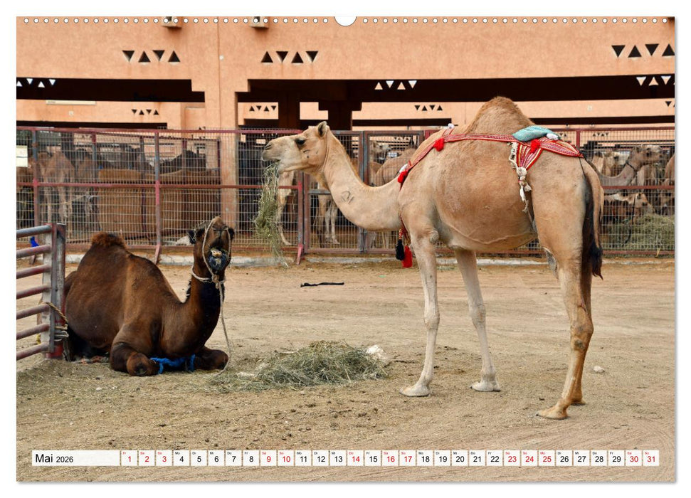 Die EMIRATES zwischen Dubai und Abu Dhabi (CALVENDO Wandkalender 2026)