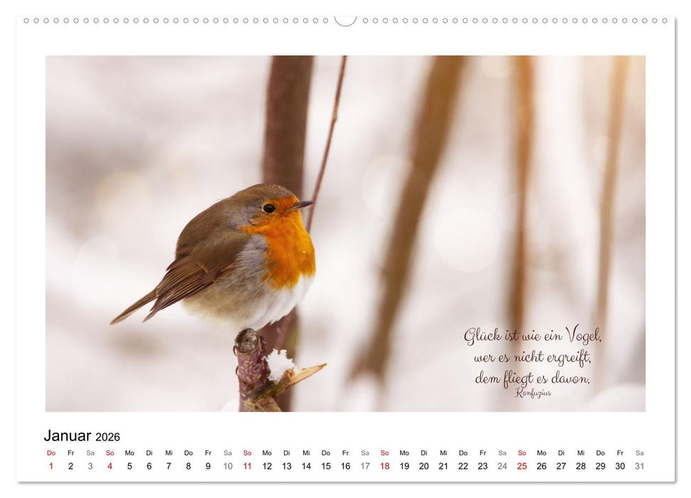Vögel und geflügelte Worte (CALVENDO Wandkalender 2026)