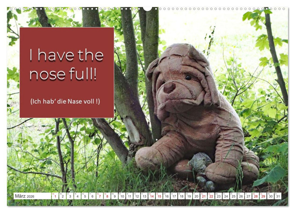 DENGLISCH gesagt ... (CALVENDO Wandkalender 2026)