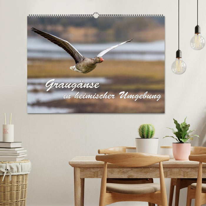 Graugänse in heimischer Umgebung (CALVENDO Wandkalender 2026)