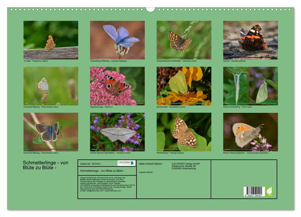 Schmetterlinge - von Blüte zu Blüte - (CALVENDO Wandkalender 2026)