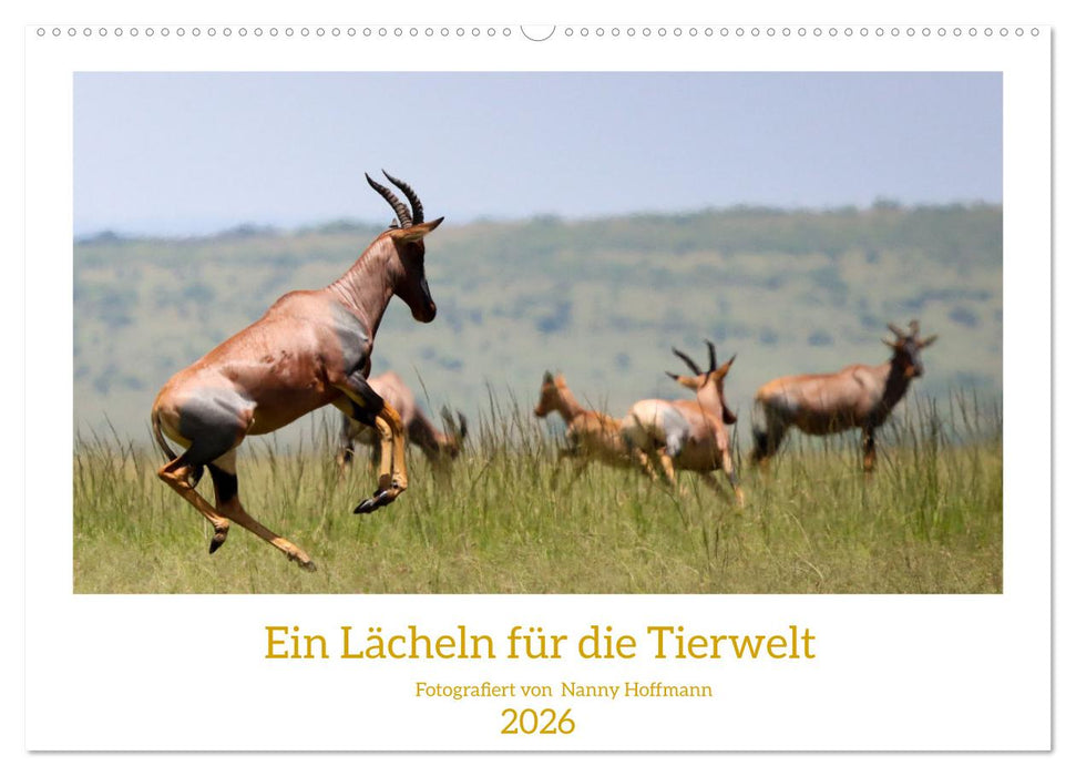 Ein Lächeln für die Tierwelt (CALVENDO Wandkalender 2026)