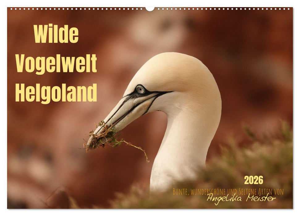 Wilde Vogelwelt Helgoland (CALVENDO Wandkalender 2026)