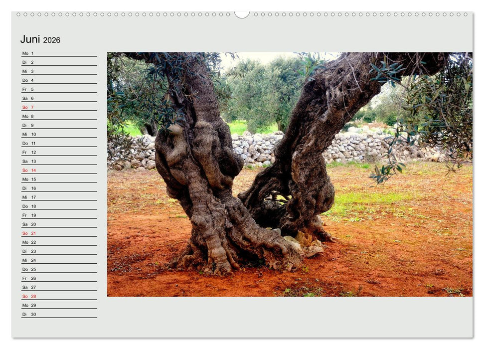 Kulturlandschaft im Süden zwischen zwei Meeren Adriatico und Ionio (CALVENDO Wandkalender 2026)