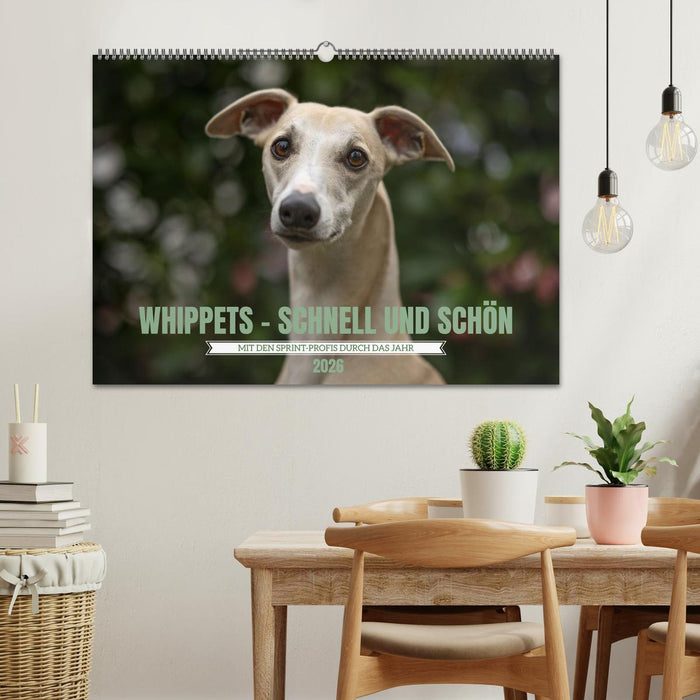 WHIPPETS - SCHNELL UND SCHÖN (CALVENDO Wandkalender 2026)