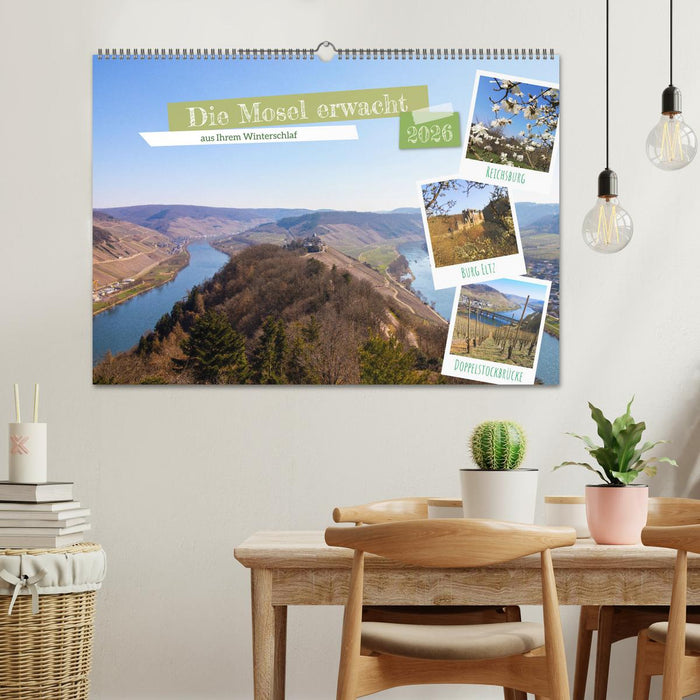 Die Mosel erwacht aus Ihrem Winterschlaf (CALVENDO Wandkalender 2026)