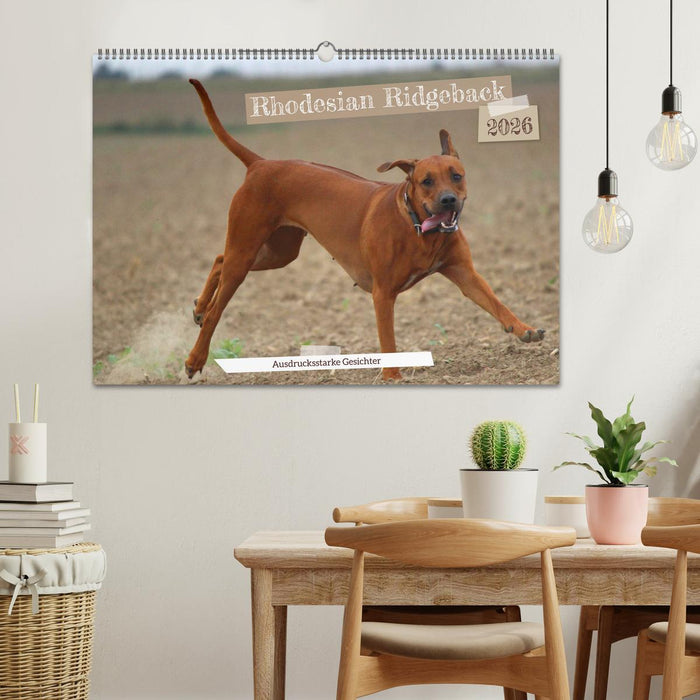 Rhodesian Ridgeback - Ausdrucksstarke Gesichter (CALVENDO Wandkalender 2026)