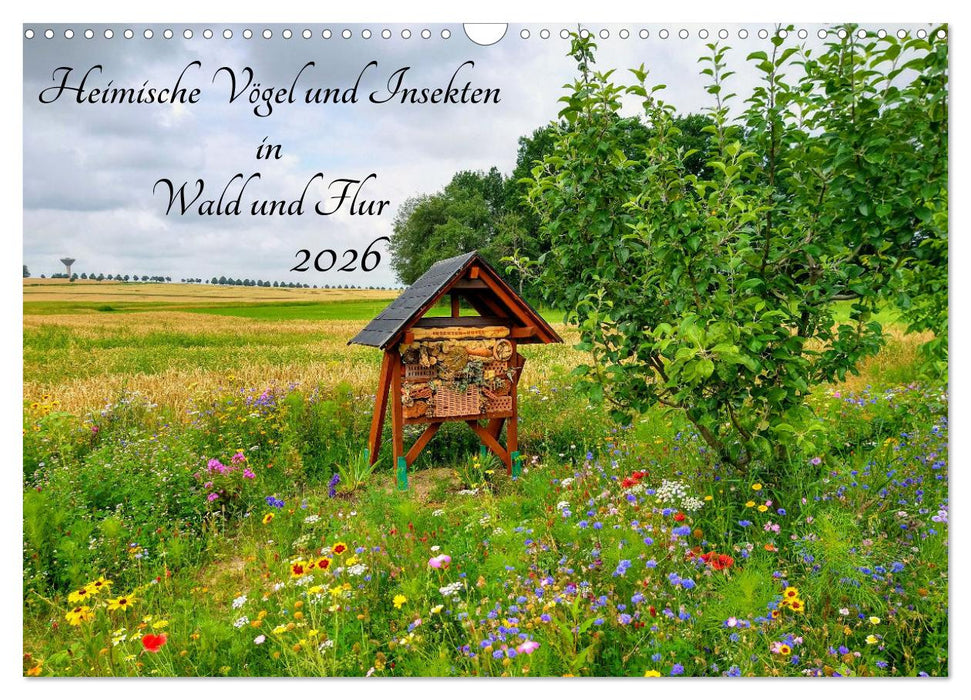 Heimische Vögel und Insekten in Wald und Flur (CALVENDO Wandkalender 2026)