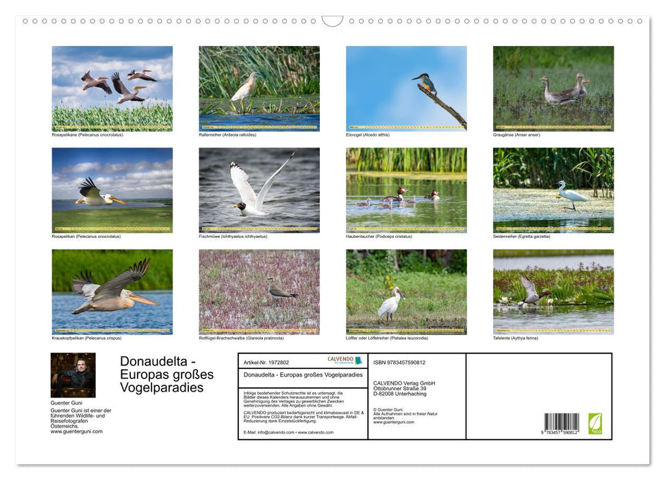 Donaudelta - Europas großes Vogelparadies (CALVENDO Wandkalender 2026)