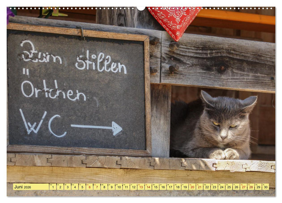 Grüße von der Alm (CALVENDO Wandkalender 2026)