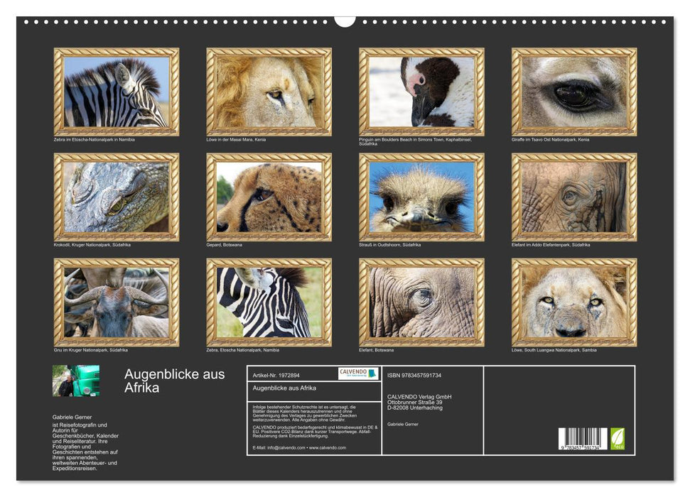 Augenblicke aus Afrika (CALVENDO Wandkalender 2026)