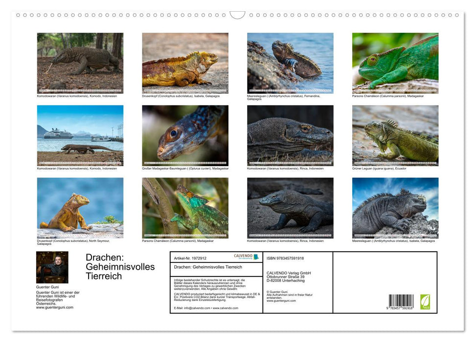 Drachen: Geheimnisvolles Tierreich (CALVENDO Wandkalender 2026)