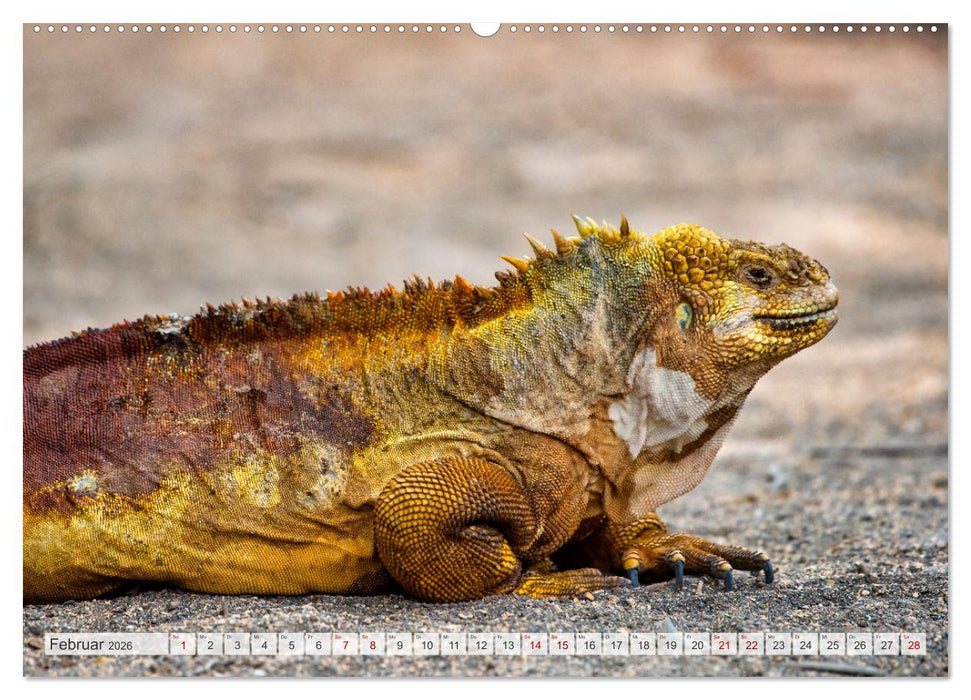 Drachen: Geheimnisvolles Tierreich (CALVENDO Wandkalender 2026)