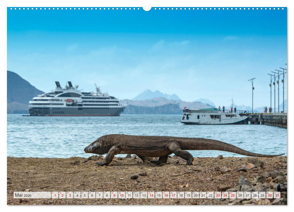 Drachen: Geheimnisvolles Tierreich (CALVENDO Wandkalender 2026)