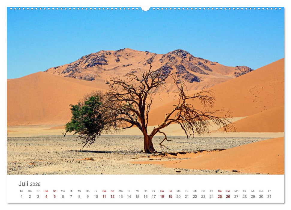 Namibia - Land im Süden Afrikas (CALVENDO Premium Wandkalender 2026)