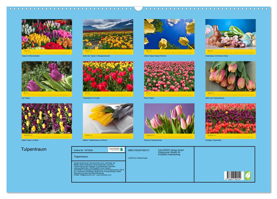 Tulpentraum (CALVENDO Wandkalender 2026)