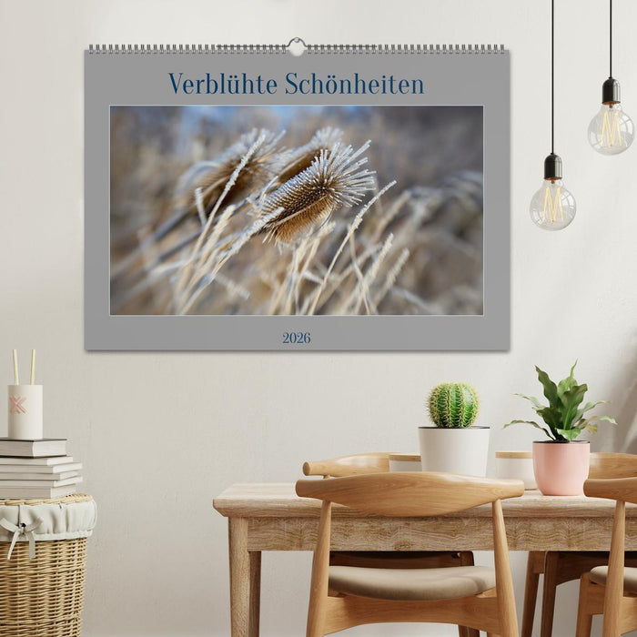 Verblühte Schönheiten (CALVENDO Wandkalender 2026)