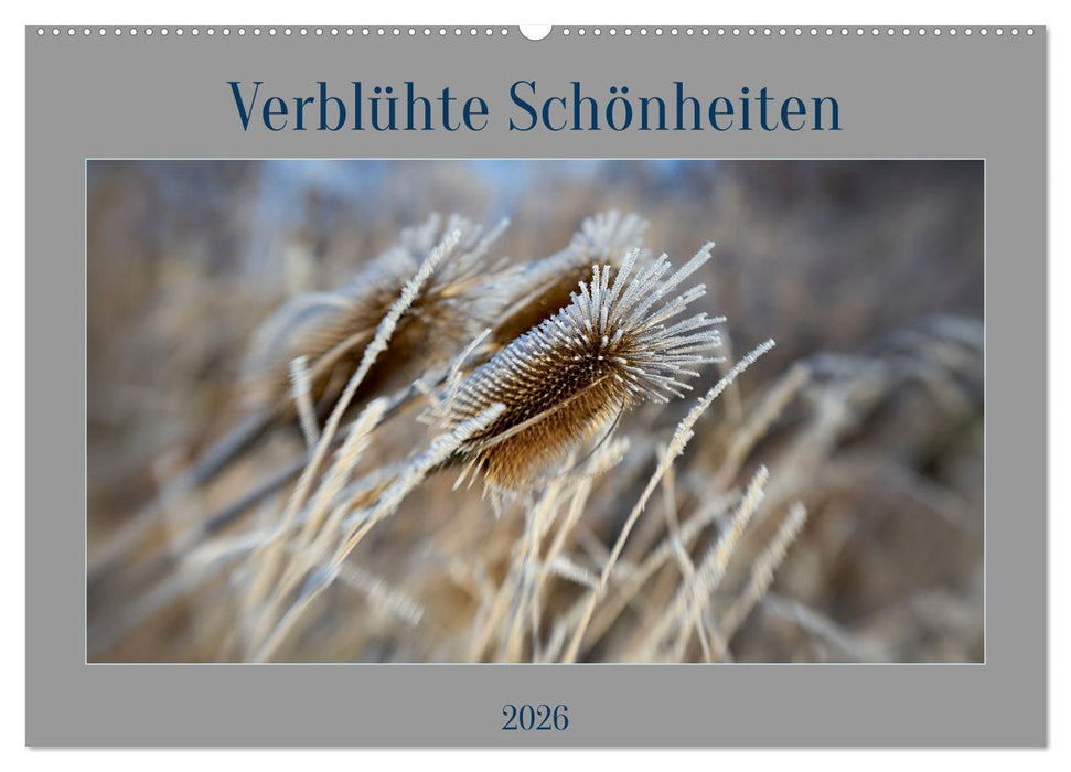 Verblühte Schönheiten (CALVENDO Wandkalender 2026)
