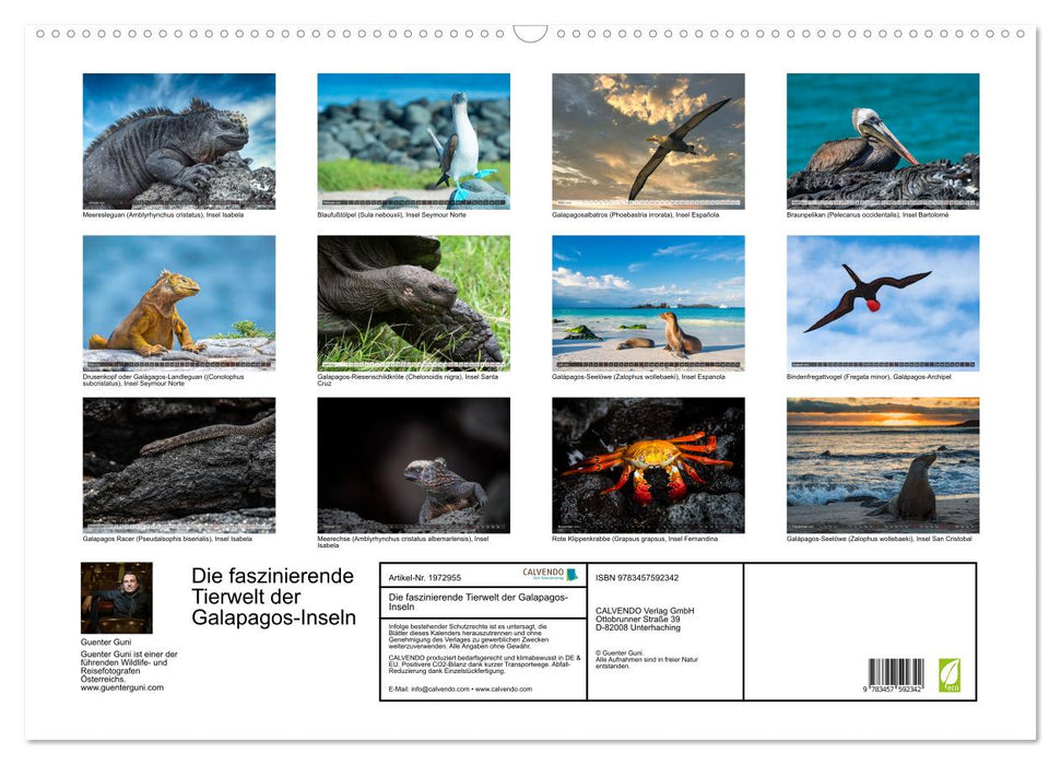 Die faszinierende Tierwelt der Galapagos-Inseln (CALVENDO Wandkalender 2026)