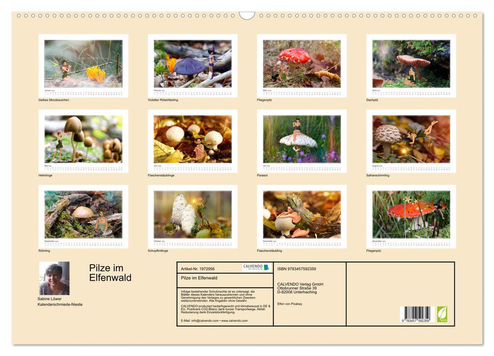 Pilze im Elfenwald (CALVENDO Wandkalender 2026)