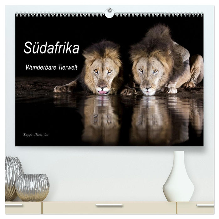 Südafrika wunderbare Tierwelt (CALVENDO Premium Wandkalender 2026)