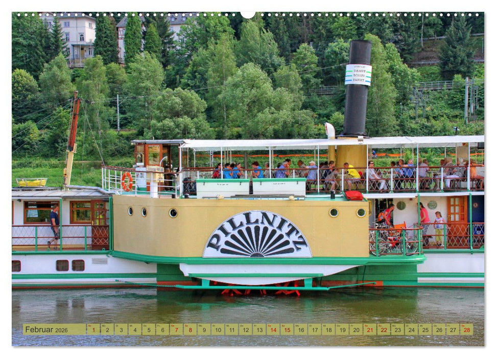 Seitenraddampfer – In Sachsen von Königstein bis Bad Schandau (CALVENDO Wandkalender 2026)