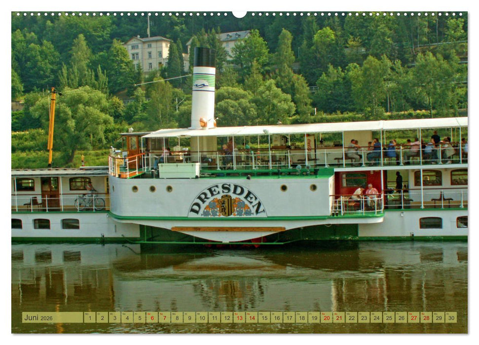 Seitenraddampfer – In Sachsen von Königstein bis Bad Schandau (CALVENDO Wandkalender 2026)