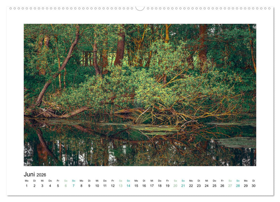 Seenlandschaften Landkreis Teltow-Fläming (CALVENDO Wandkalender 2026)