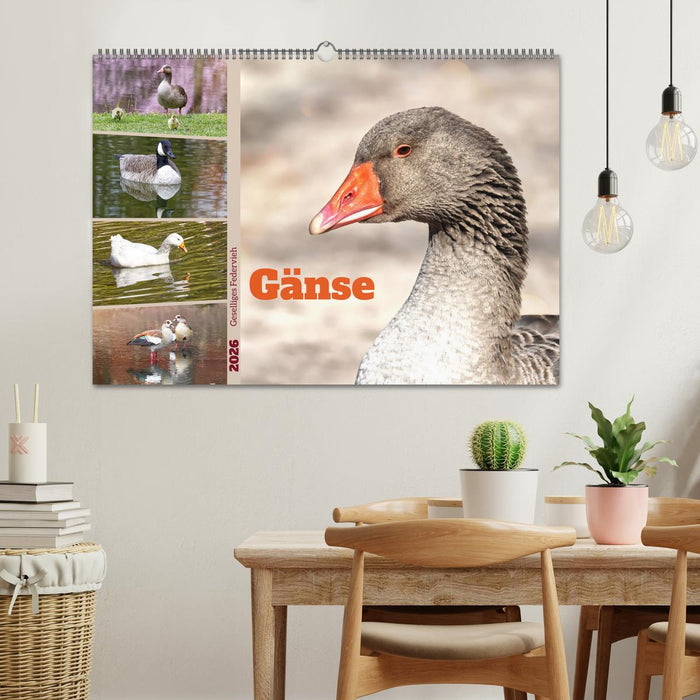 Gänse, geselliges Federvieh (CALVENDO Wandkalender 2026)