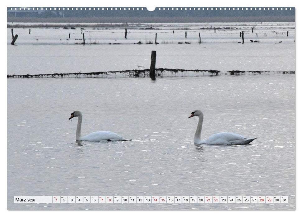 Hochwasser als Teil der Umwelt (CALVENDO Wandkalender 2026)