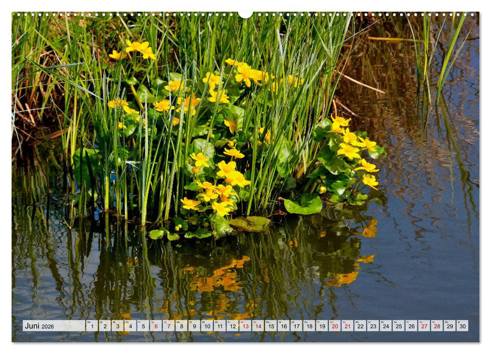 Hochwasser als Teil der Umwelt (CALVENDO Wandkalender 2026)