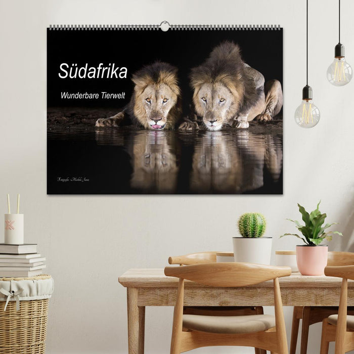 Südafrika wunderbare Tierwelt (CALVENDO Wandkalender 2026)