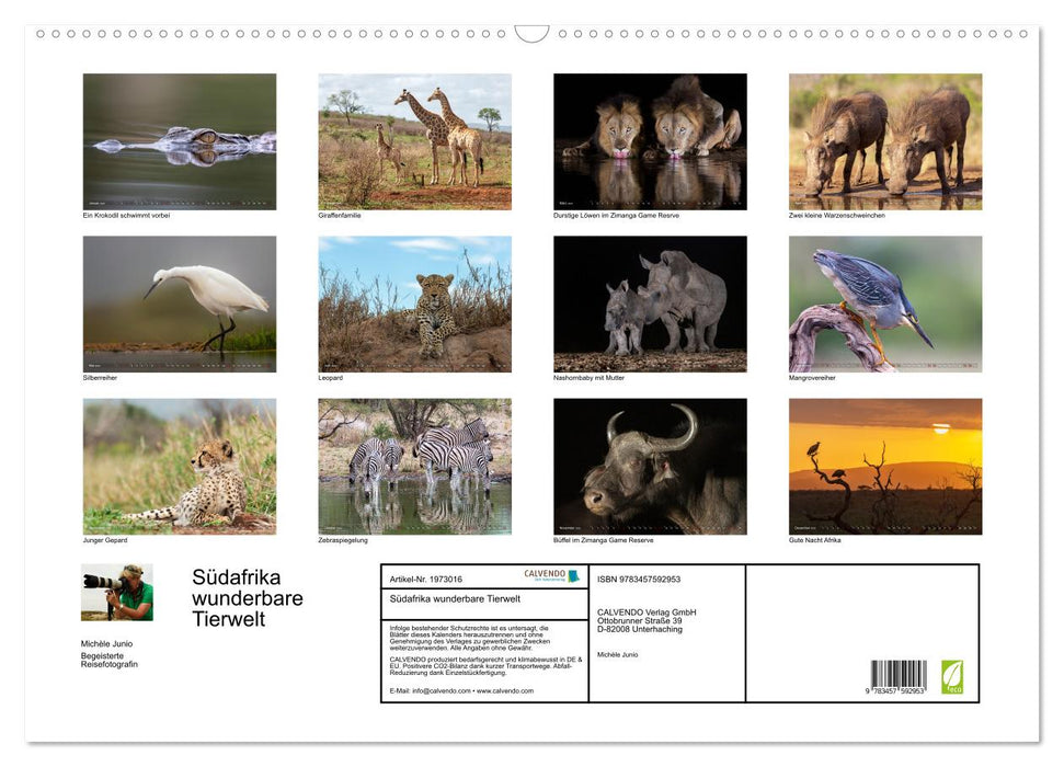 Südafrika wunderbare Tierwelt (CALVENDO Wandkalender 2026)