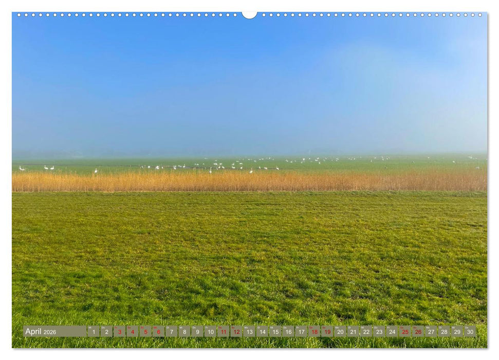 Erlebe mit mir die Niederlande (CALVENDO Wandkalender 2026)