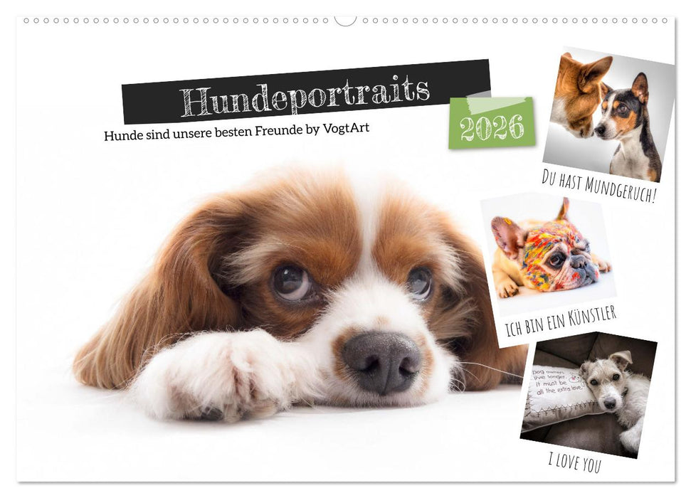 Hundeportraits, Hunde sind unsere besten Freunde by VogtArt (CALVENDO Wandkalender 2026)