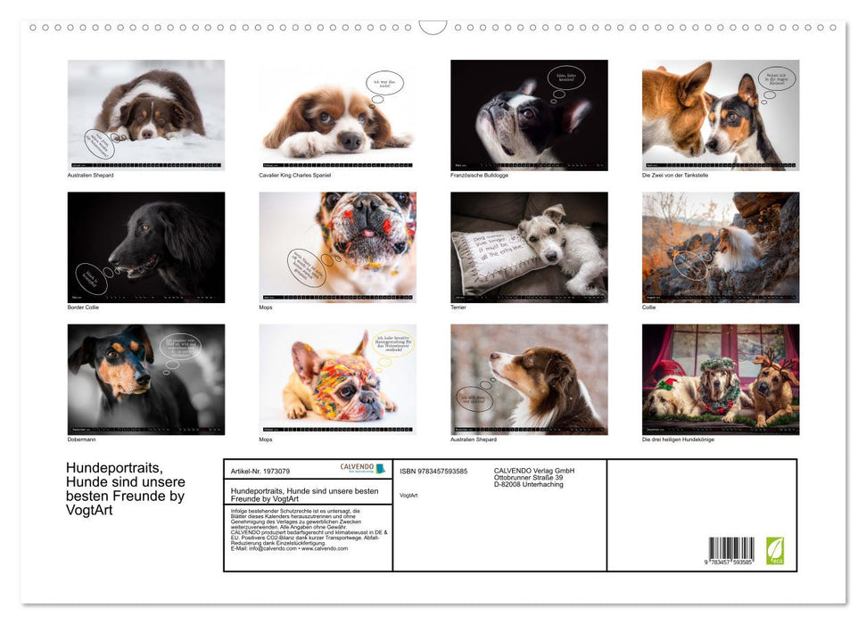 Hundeportraits, Hunde sind unsere besten Freunde by VogtArt (CALVENDO Wandkalender 2026)