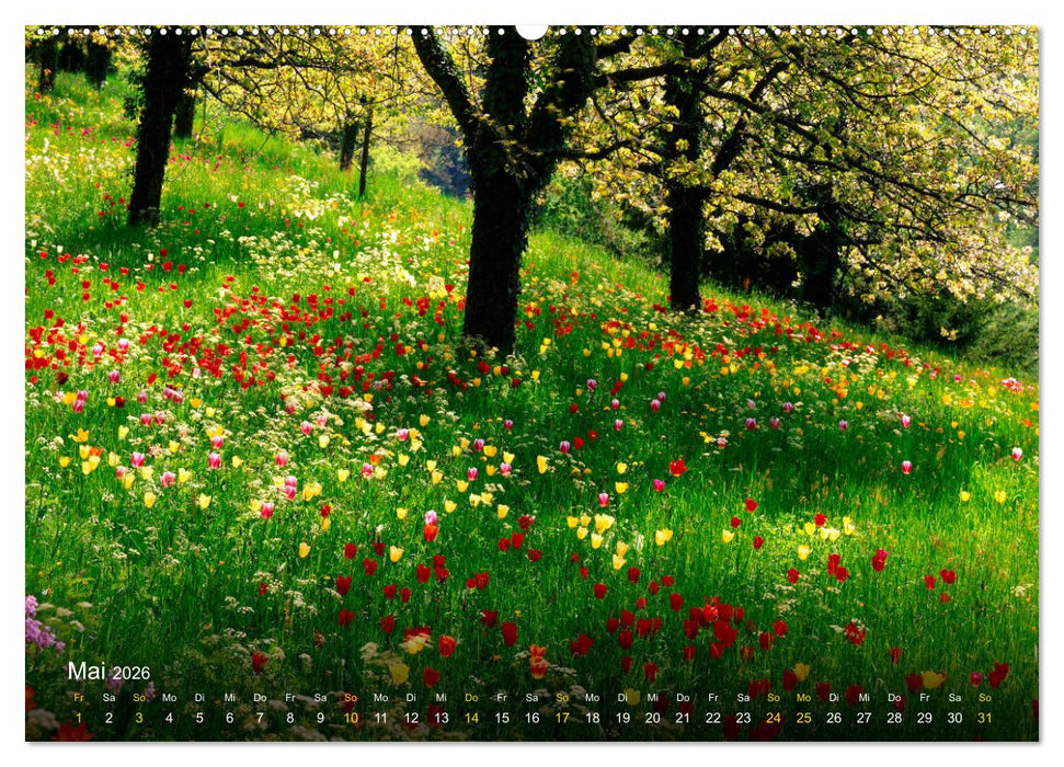 Traum Momente (CALVENDO Premium Wandkalender 2026)