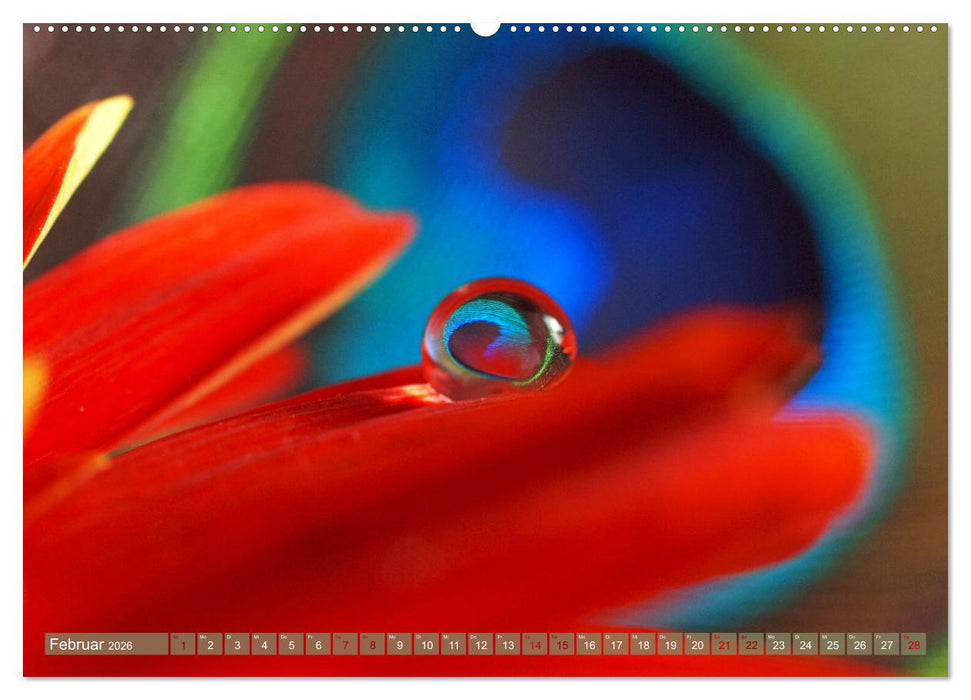 Magische Super-Makros (CALVENDO Wandkalender 2026)