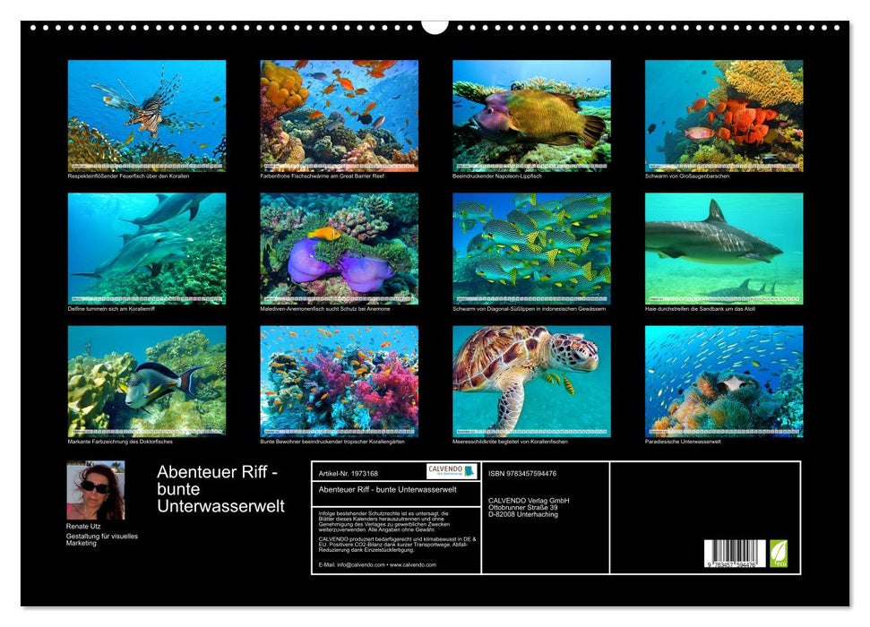 Abenteuer Riff - bunte Unterwasserwelt (CALVENDO Wandkalender 2026)