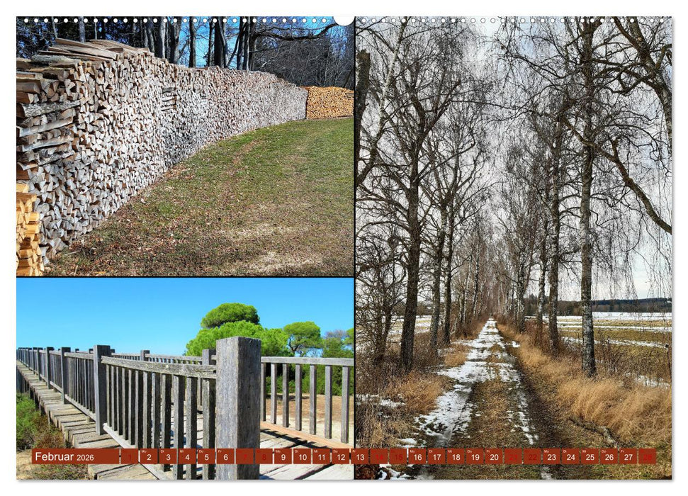 Die Faszination der Farben (CALVENDO Premium Wandkalender 2026)