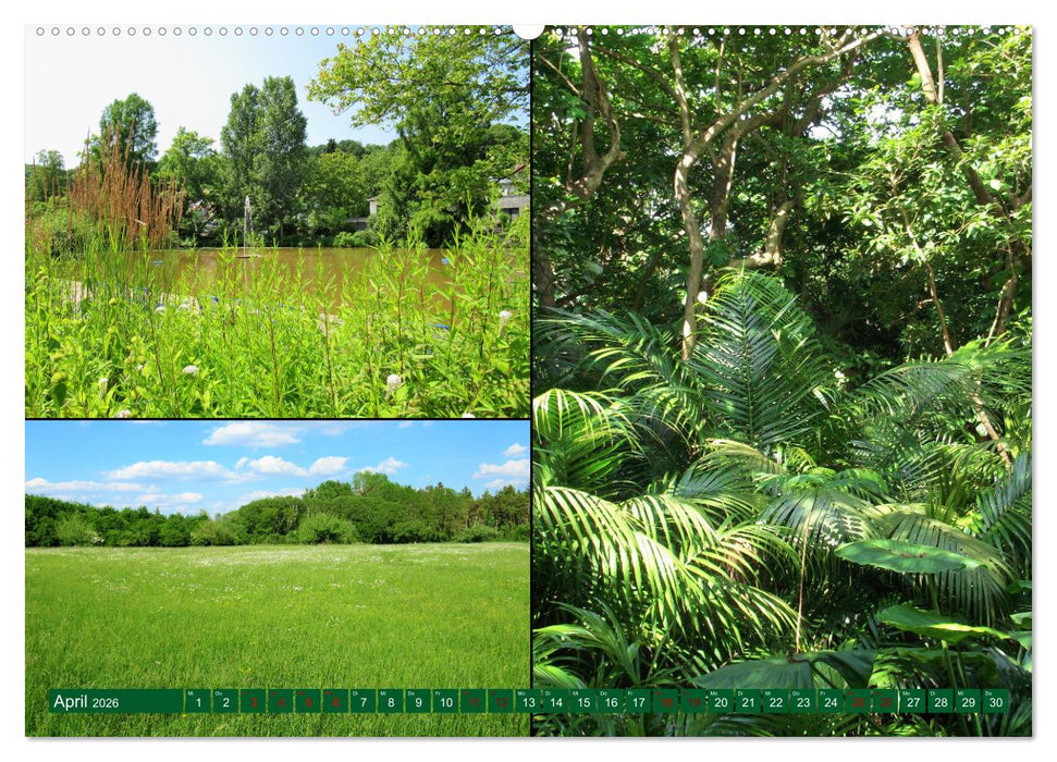 Die Faszination der Farben (CALVENDO Premium Wandkalender 2026)