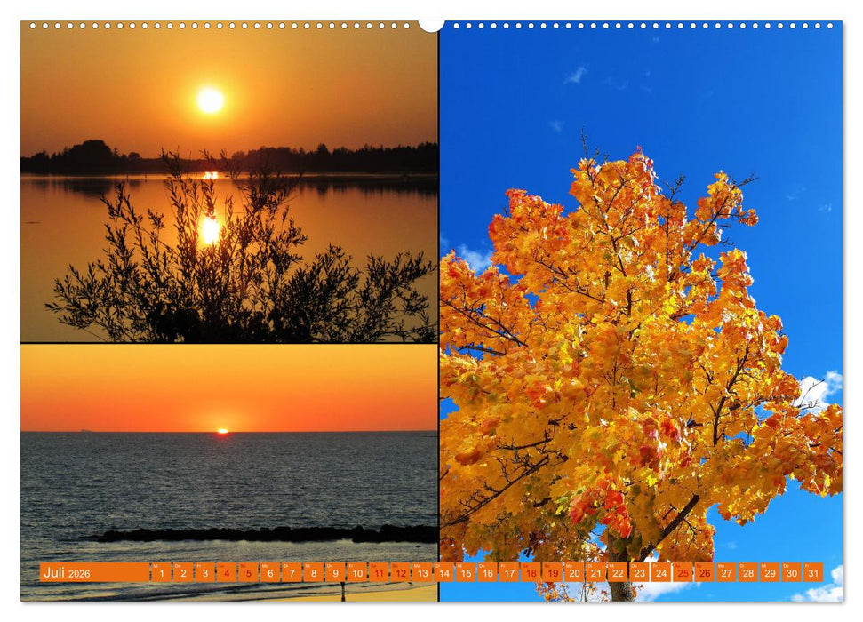 Die Faszination der Farben (CALVENDO Premium Wandkalender 2026)