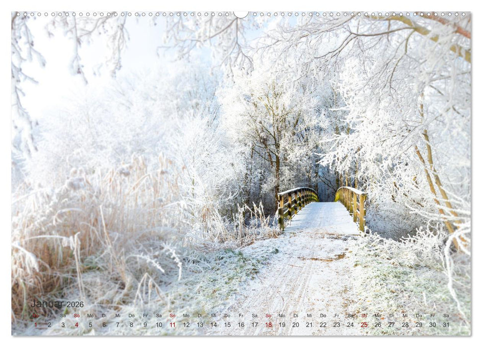 Landschaften und Natur 2026 (CALVENDO Wandkalender 2026)