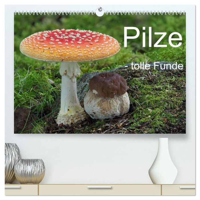 Pilze - tolle Funde (CALVENDO Premium Wandkalender 2026)