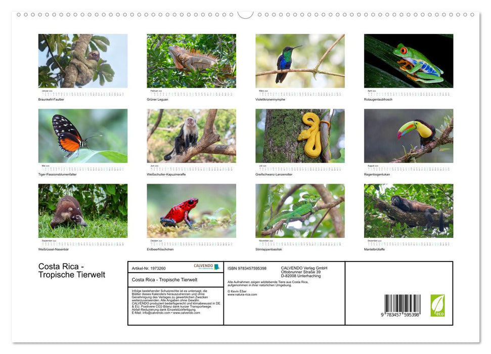 Costa Rica - Tropische Tierwelt (CALVENDO Premium Wandkalender 2026)