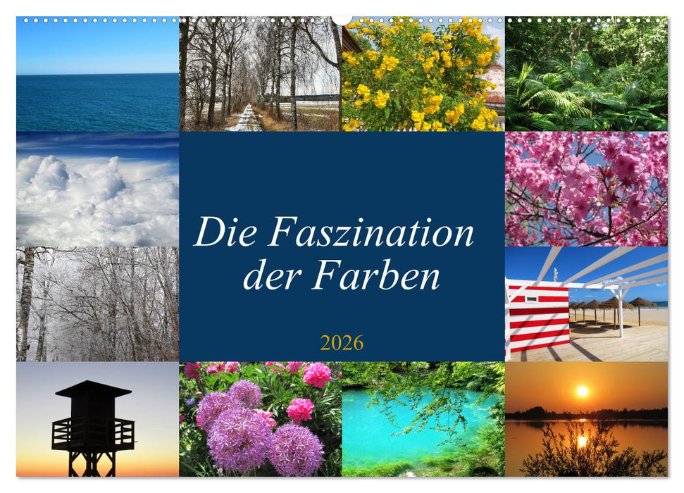 Die Faszination der Farben (CALVENDO Wandkalender 2026)
