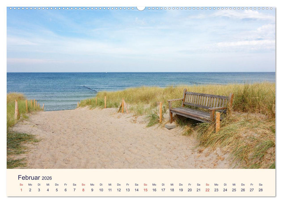 Bänke. In der Ruhe liegt die Kraft. (CALVENDO Wandkalender 2026)