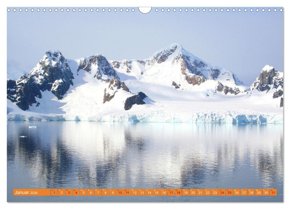 Arktis und Antarktis - Eisig durch das Jahr (CALVENDO Wandkalender 2026)